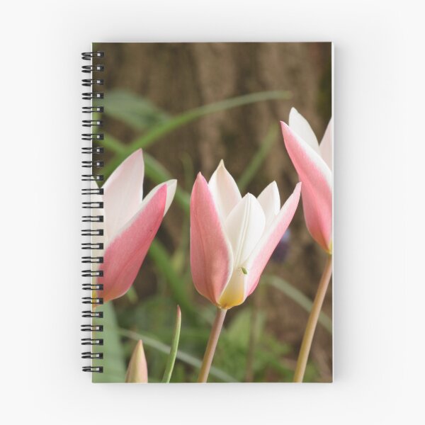 Item preview, Soft elegant white coral pink tulips with bugs designed and sold by thesuspire.