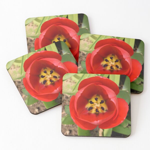 Item preview, Geometrical opened red tulip detailed inside from above designed and sold by thesuspire.