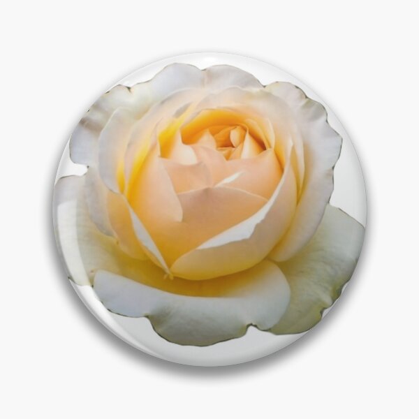 Item preview, White Elegance: A White Rose in the Spotlight. designed and sold by josiasalves65.