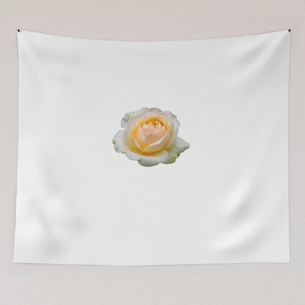 Item preview, White Elegance: A White Rose in the Spotlight. designed and sold by josiasalves65.