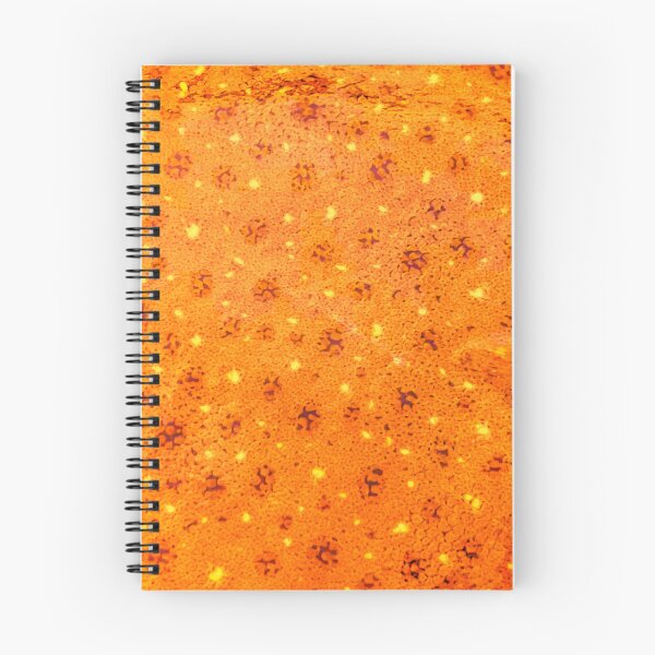 Item preview, Orange Windowpane Flounder Skin designed and sold by CJRPics.
