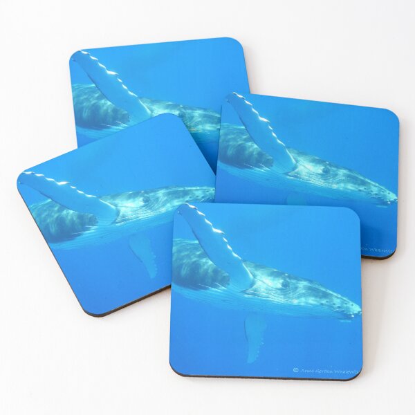 Item preview, 'Flying' Humpback Whale Calf - Moorea 2023 designed and sold by Whale & Dolphin Wisdom Retreats.