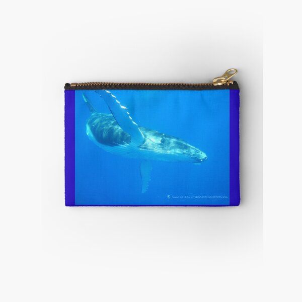 Item preview, 'Flying' Humpback Whale Calf - Moorea 2023 designed and sold by Whale & Dolphin Wisdom Retreats.