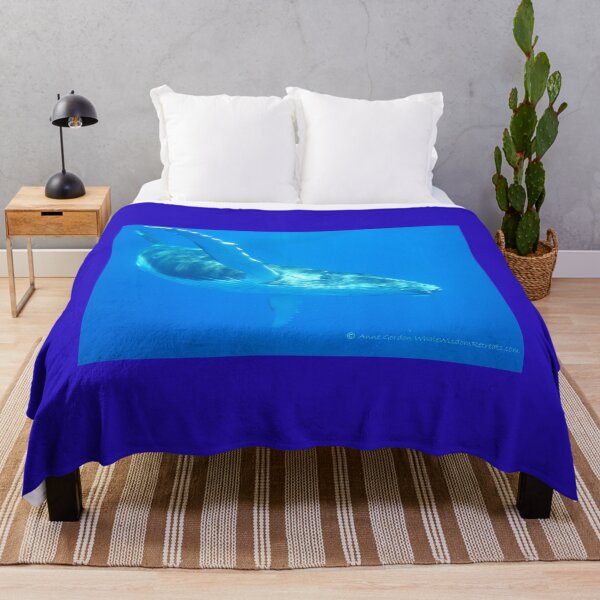 Item preview, 'Flying' Humpback Whale Calf - Moorea 2023 designed and sold by Whale & Dolphin Wisdom Retreats.