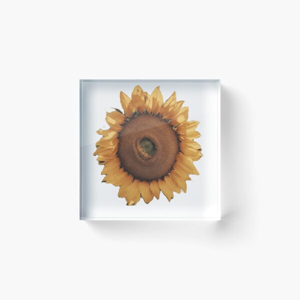 Item preview, Lonely Radiance: The Majestic Sunflower Under the Sun. designed and sold by josiasalves65.