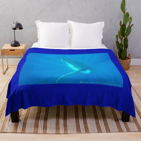 Item preview, Ascending into the Light designed and sold by Whale & Dolphin Wisdom Retreats.