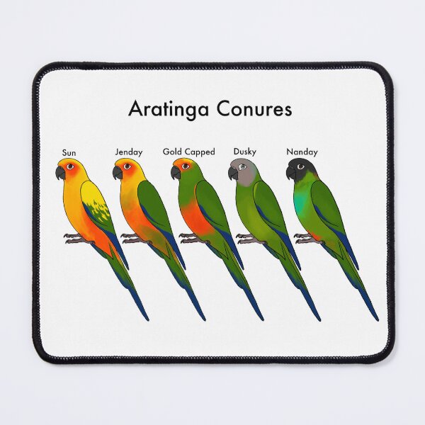 Item preview, Aratinga Conures designed and sold by BourkiiBoutique.