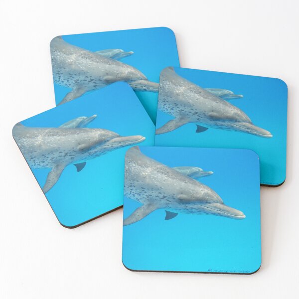 Item preview, Spotted Dolphin Greeting designed and sold by Whale & Dolphin Wisdom Retreats.