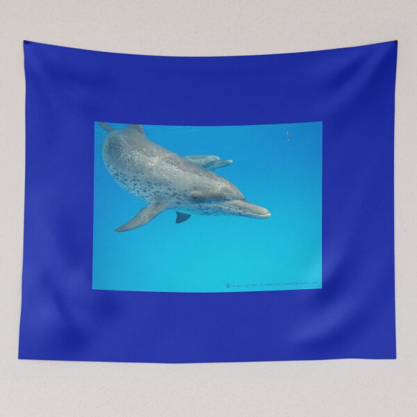 Item preview, Spotted Dolphin Greeting designed and sold by Whale & Dolphin Wisdom Retreats.