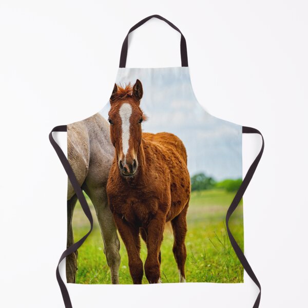Item preview, caballo joven parado junto a mamá designed and sold by noblephoto.