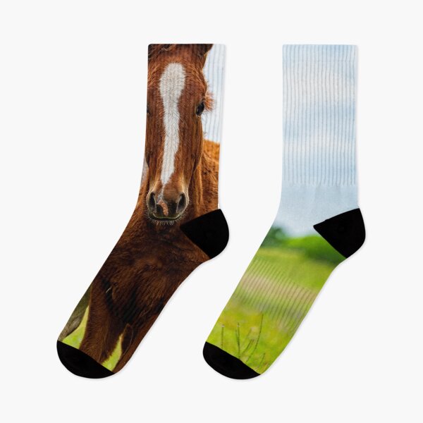 Item preview, young horse standing next to mom designed and sold by noblephoto.