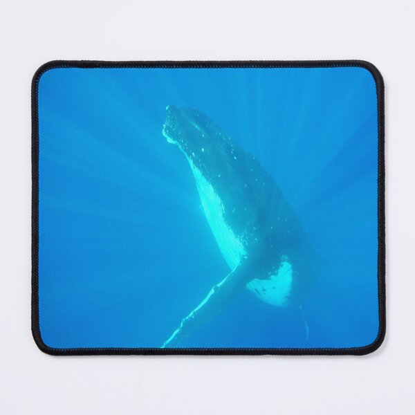 Item preview, Ascending into the Light designed and sold by Whale & Dolphin Wisdom Retreats.