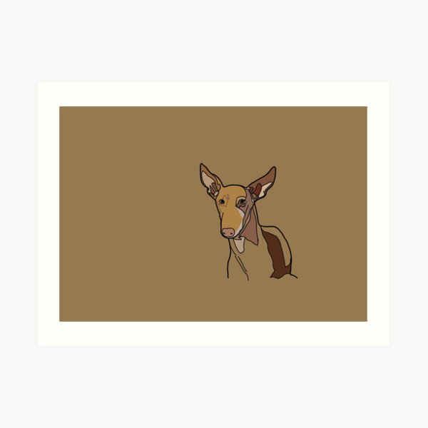 Podenco Kunstdruck