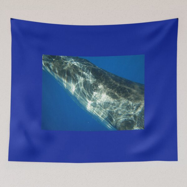 Item preview, Eye of a Whale designed and sold by Whale & Dolphin Wisdom Retreats.