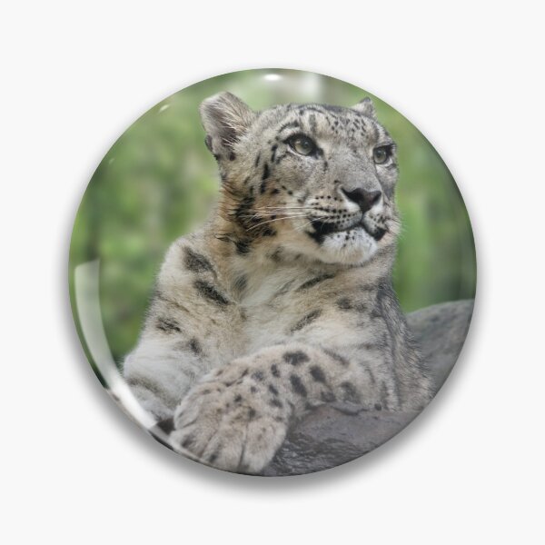 Item preview, snow leopard sitting on rock designed and sold by clearviewstock.