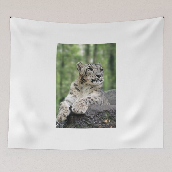 Item preview, snow leopard sitting on rock designed and sold by clearviewstock.