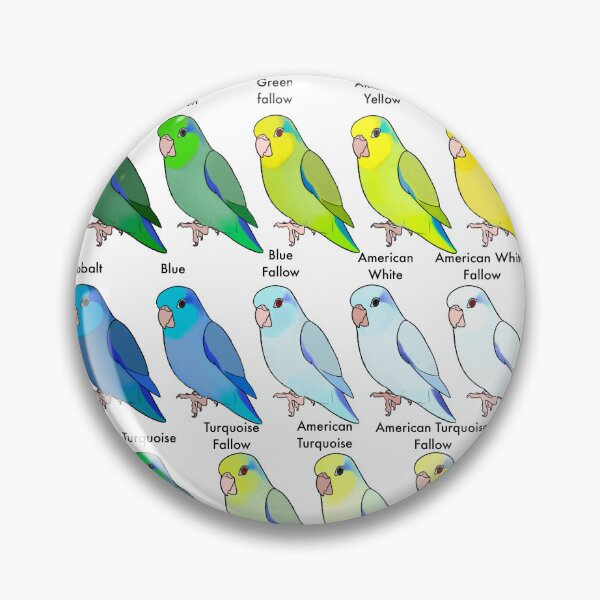 Item preview, Celestial Parrotlet Color Mutations  designed and sold by BourkiiBoutique.