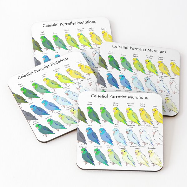 Item preview, Celestial Parrotlet Color Mutations  designed and sold by BourkiiBoutique.