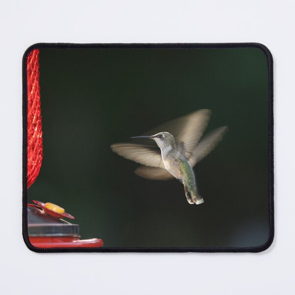 Item preview, Hummingbird designed and sold by Sonex1517.