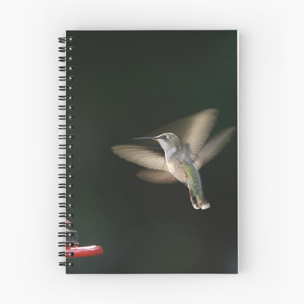Item preview, Hummingbird designed and sold by Sonex1517.