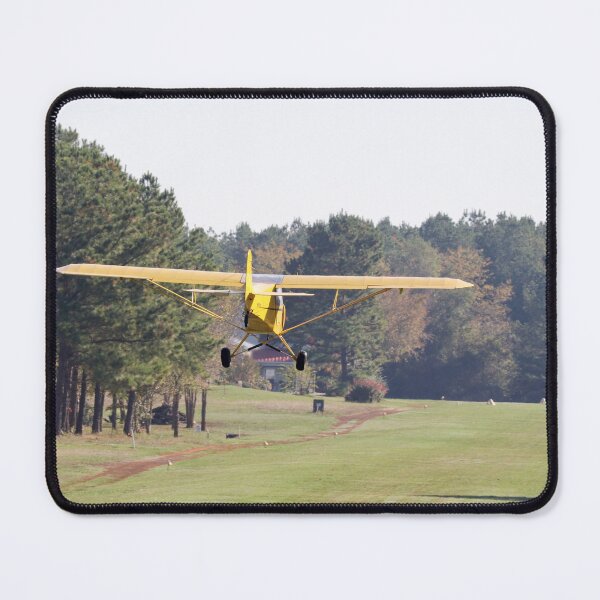 Item preview, Cub on grass strip designed and sold by Sonex1517.