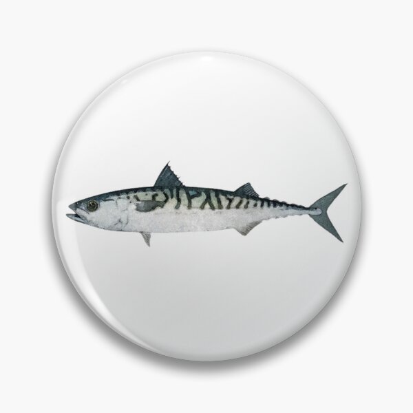 Item preview, Atlantic Mackerel Watercolor Art designed and sold by jjomally1.