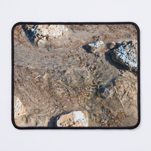 Item preview, A Icelandic Geothermal Stream designed and sold by Bill Spengler's Photographic Thoughts.