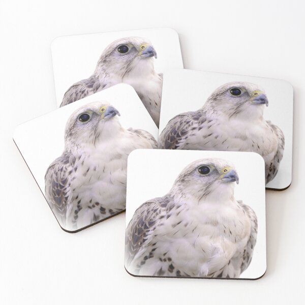 Item preview, Up Close and Personal with a Stunning Saker Falcon designed and sold by walkswithnature.