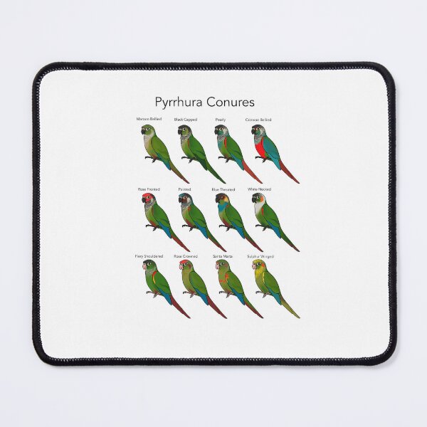 Item preview, Pyrrhura Conures designed and sold by BourkiiBoutique.