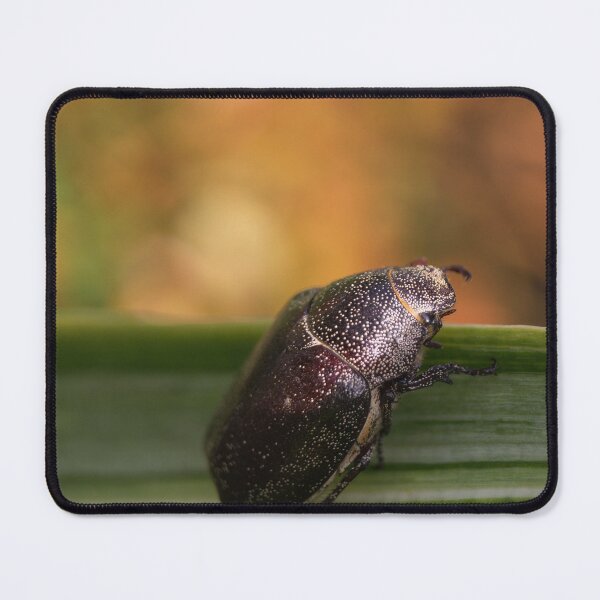 Item preview, Hello World! designed and sold by ROSE ANN BANILAR.