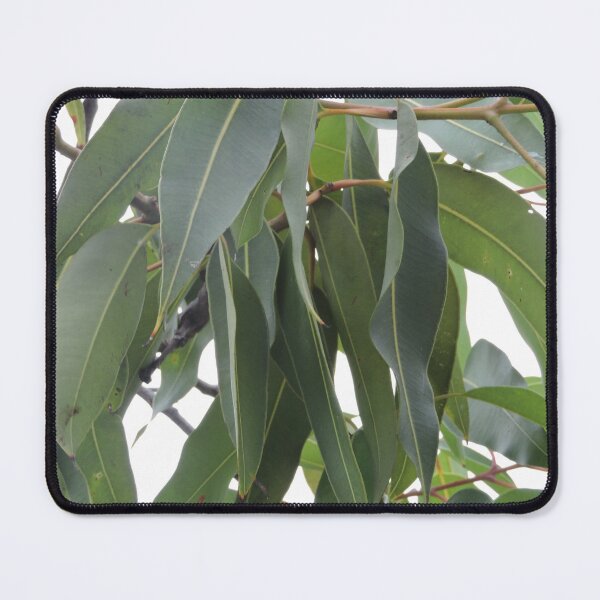 Item preview, Eucalypt Gumleaves designed and sold by MaureenBoyle.
