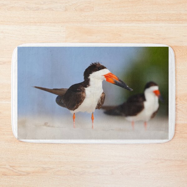 Item preview, Black Skimmer standing guard on the beach designed and sold by zmphotography.
