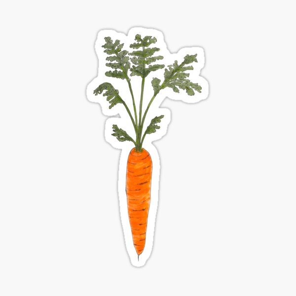 Item preview, Carrot Drawing designed and sold by quin-engle.