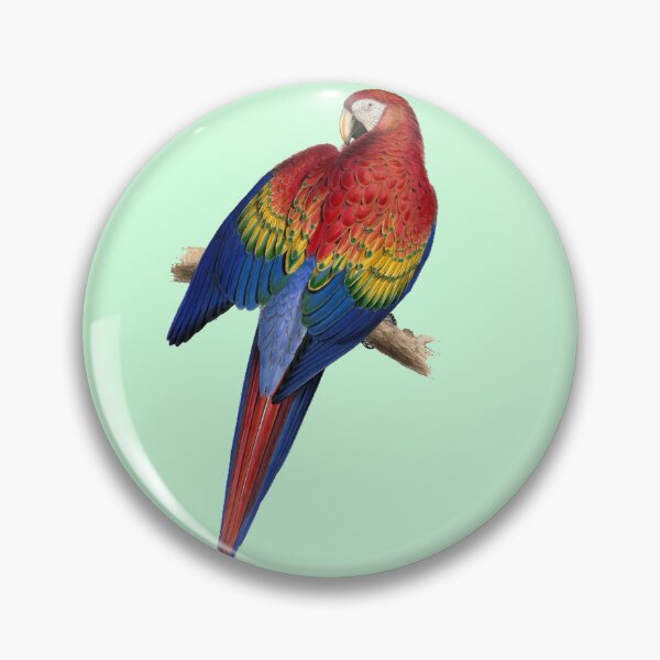 Item preview, Red and Yellow Macaw by Edward Lear designed and sold by Amanda1775.