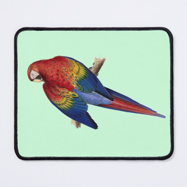 Item preview, Red and Yellow Macaw by Edward Lear designed and sold by Amanda1775.