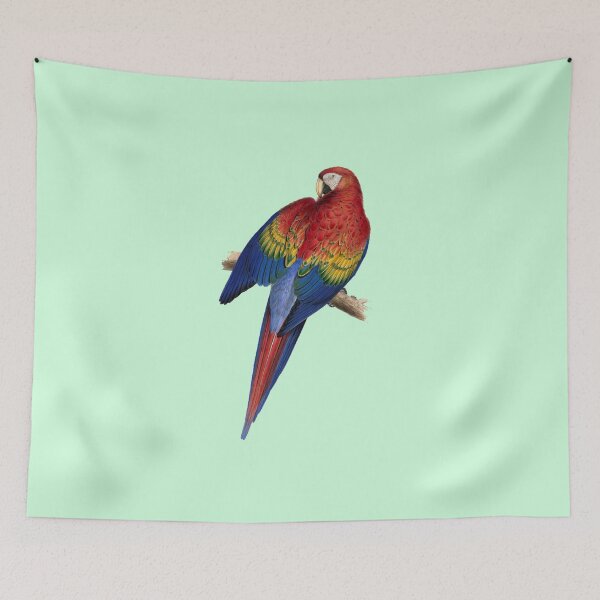 Item preview, Red and Yellow Macaw by Edward Lear designed and sold by Amanda1775.