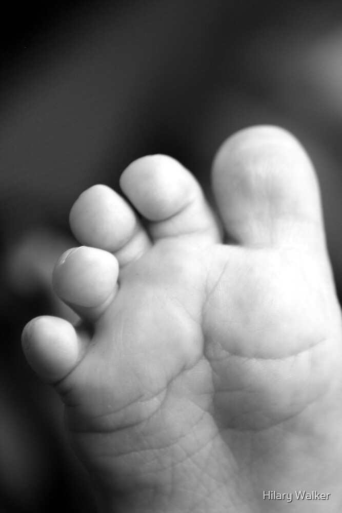 "Baby Toes" by Hilary Walker Redbubble
