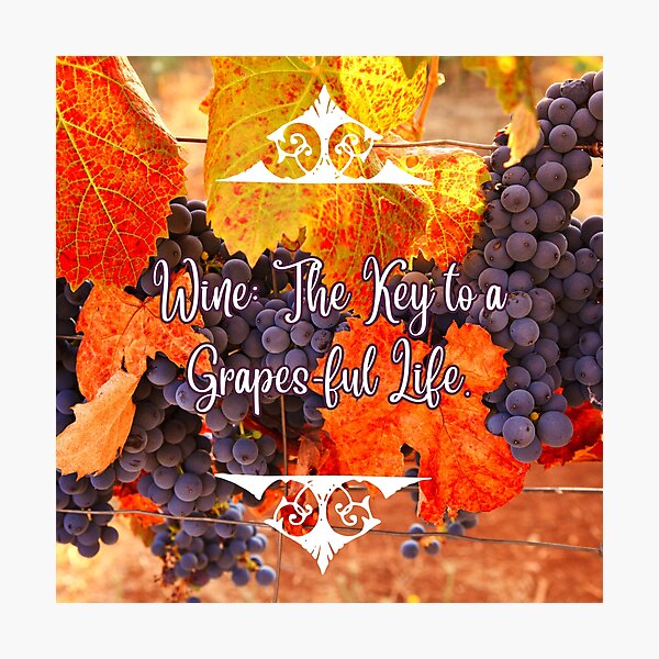 Item preview, Wine: The Key To a Grapes-ful Life. designed and sold by TidyKitchenInc.