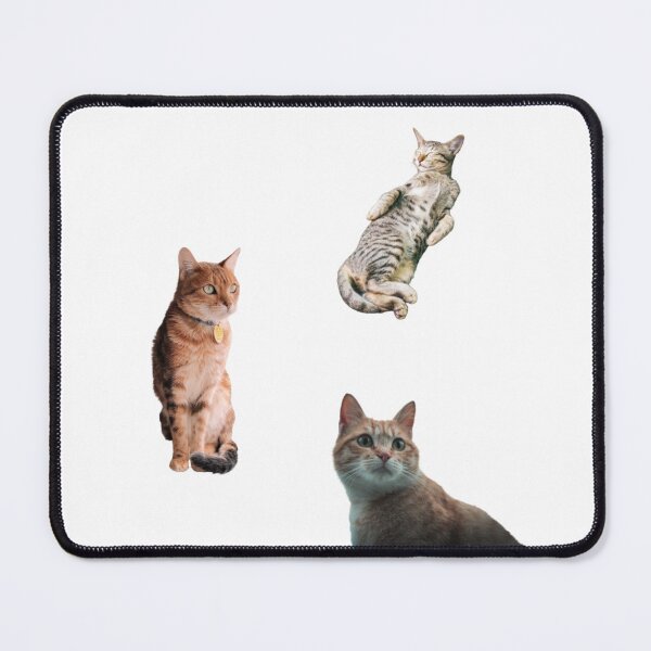Item preview, Realistic Cat sticker pack / cat pack designed and sold by HandCraftedArt.