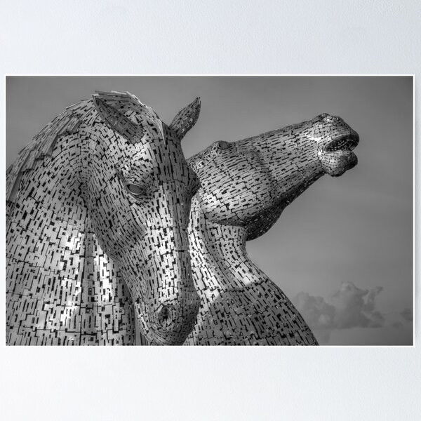Kelpies - Black and White Poster