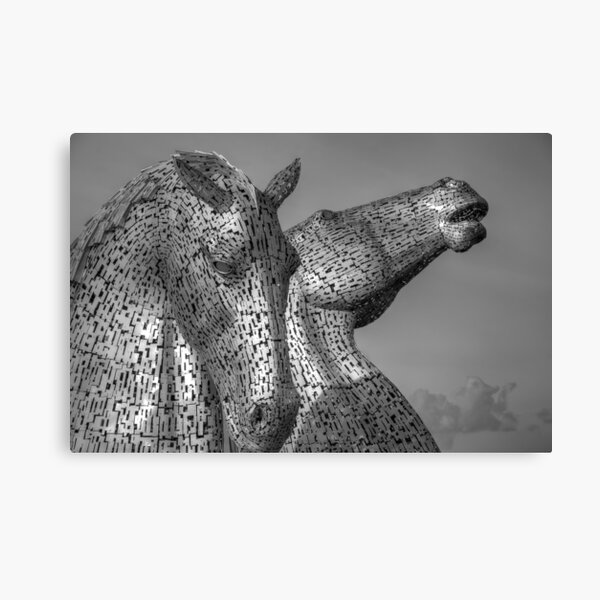 Kelpies - Black and White Canvas Print