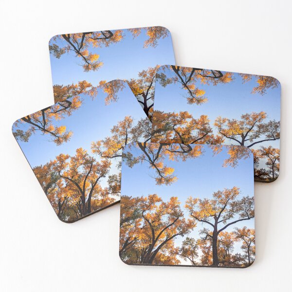 Item preview, Autumn Riverhouse on the Rio Grande designed and sold by CESW Photography.