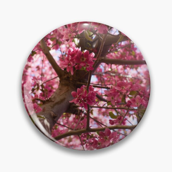 Item preview, Apple Blossoms designed and sold by CESW Photography.