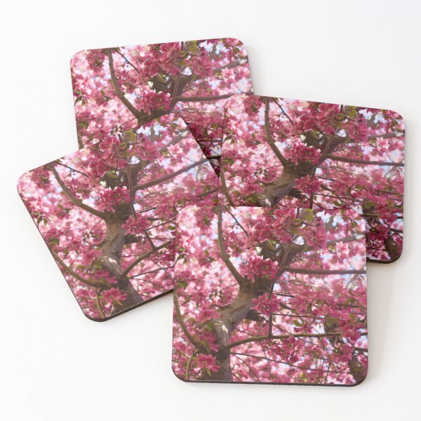 Item preview, Apple Blossoms designed and sold by CESW Photography.