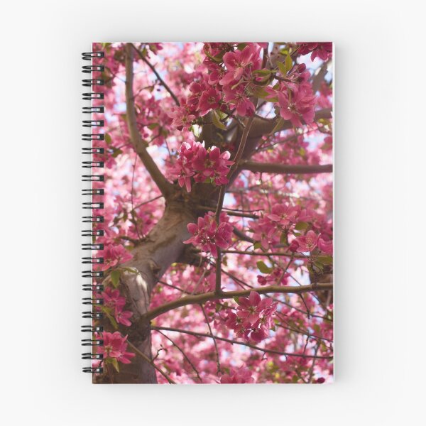 Item preview, Apple Blossoms designed and sold by CESW Photography.