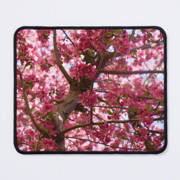 Item preview, Apple Blossoms designed and sold by CESW Photography.