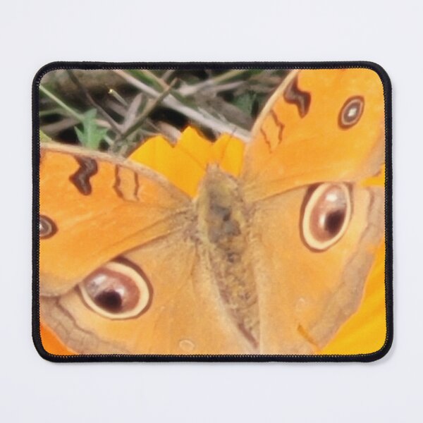 Item preview, NATURAL INSECT ELEGENT YELLOW BUTTER FLY ON SUNFLOWER designed and sold by Pranvi19.