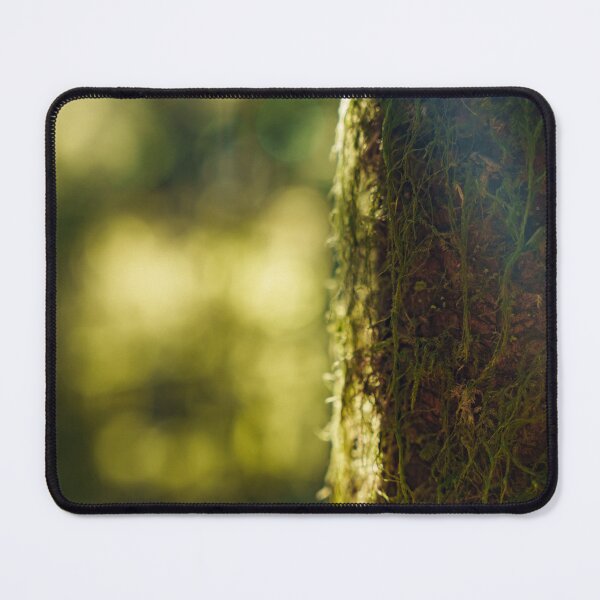 Item preview, Sunny moss in the jungle - photo designed and sold by CineWanderlust.