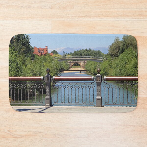 Item preview, Bridges at Leon, El Camino, Spain designed and sold by FranWest.
