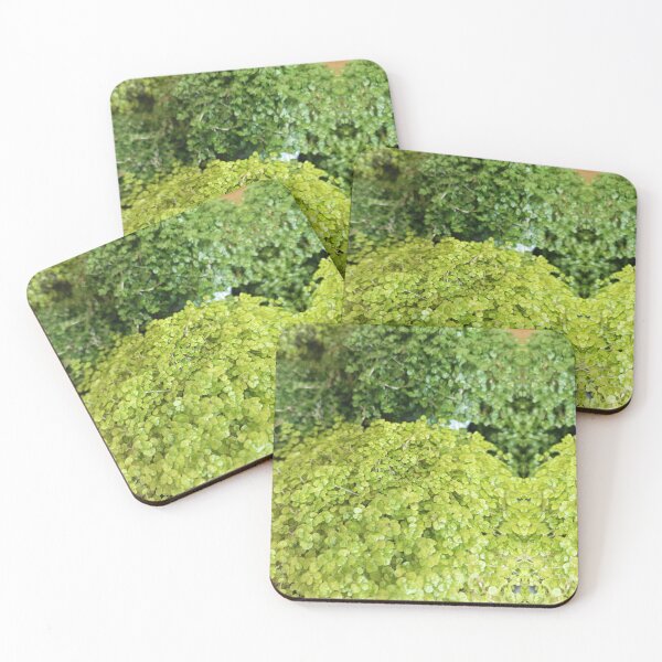 Item preview, Petals' Grace designed and sold by Sadia  Jannat.
